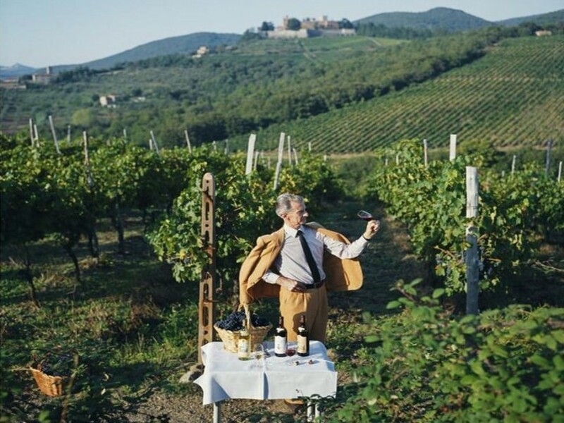 Корпоративний винний тур в Хорватію (Істрія)